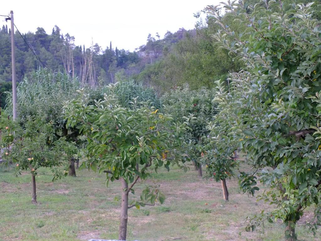 Holiday Home Ivana Virpazar Phòng bức ảnh