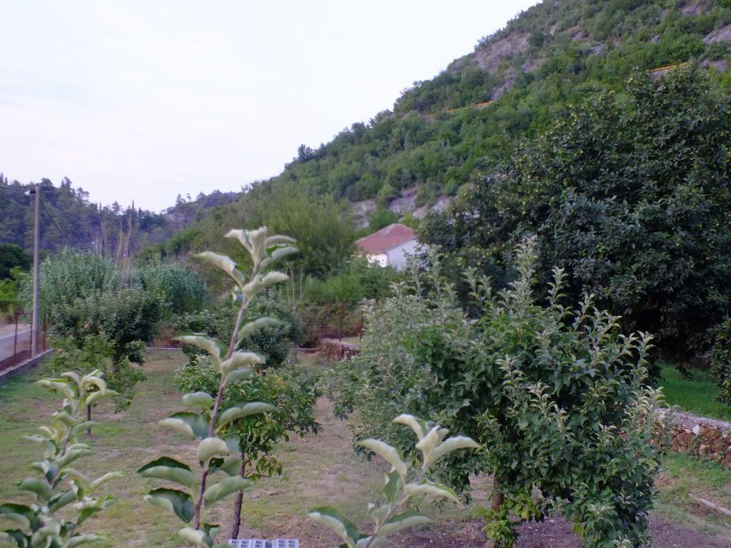 Holiday Home Ivana Virpazar Phòng bức ảnh
