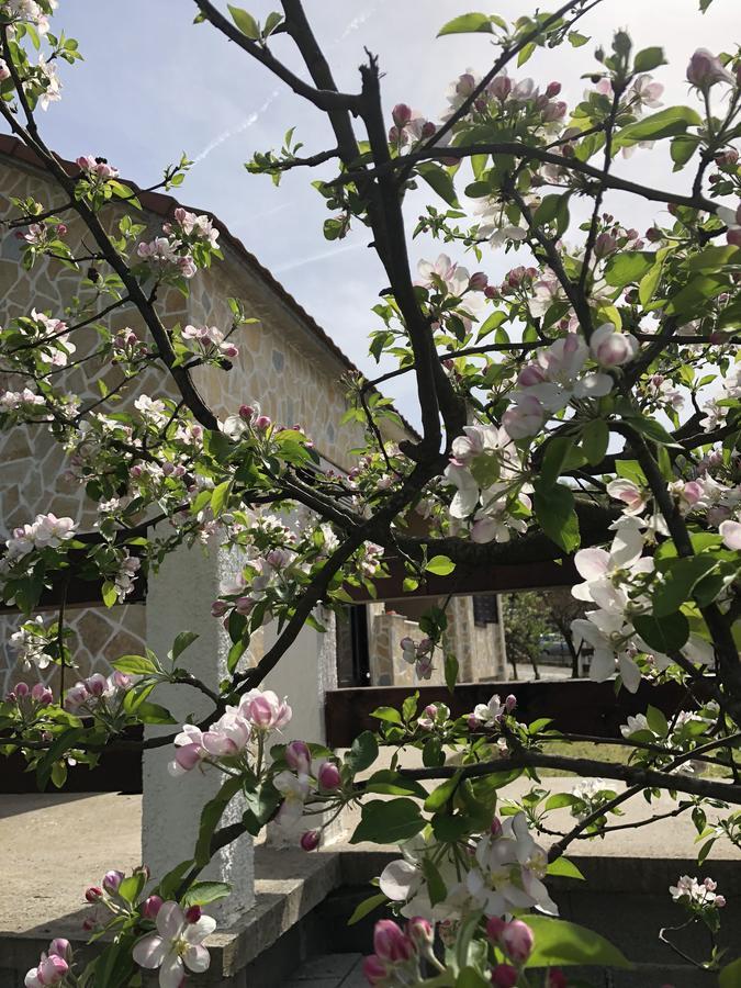 Holiday Home Ivana Virpazar Ngoại thất bức ảnh